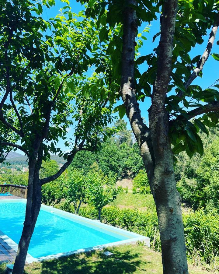 Quinta Das Ameixas - Country & Nature Arouca Zewnętrze zdjęcie