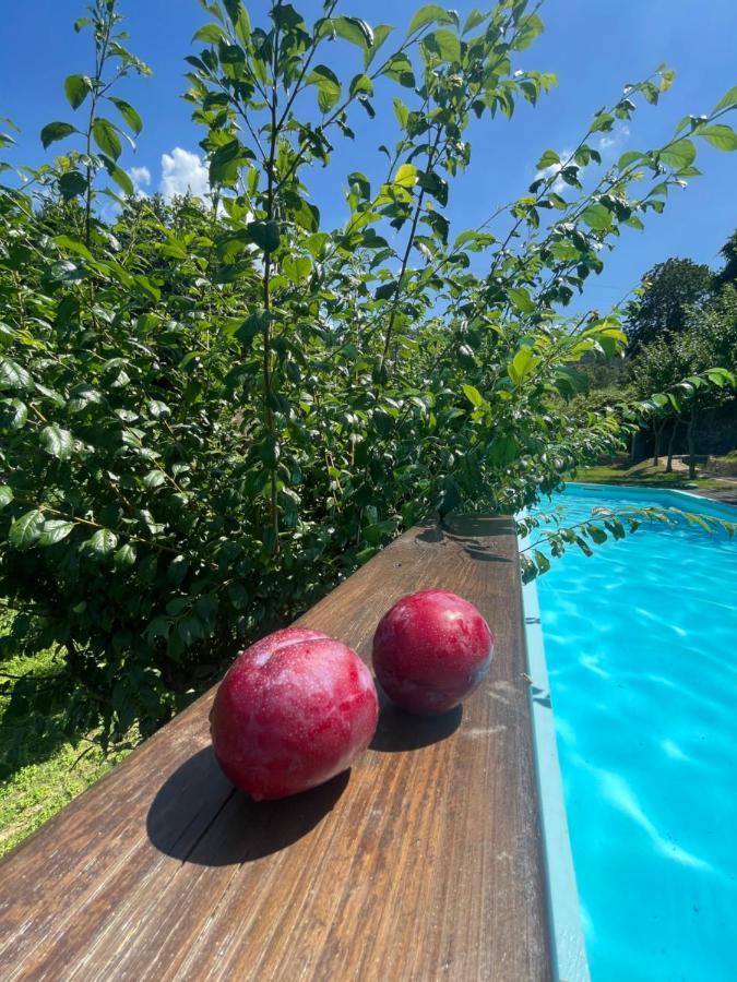 Quinta Das Ameixas - Country & Nature Arouca Zewnętrze zdjęcie