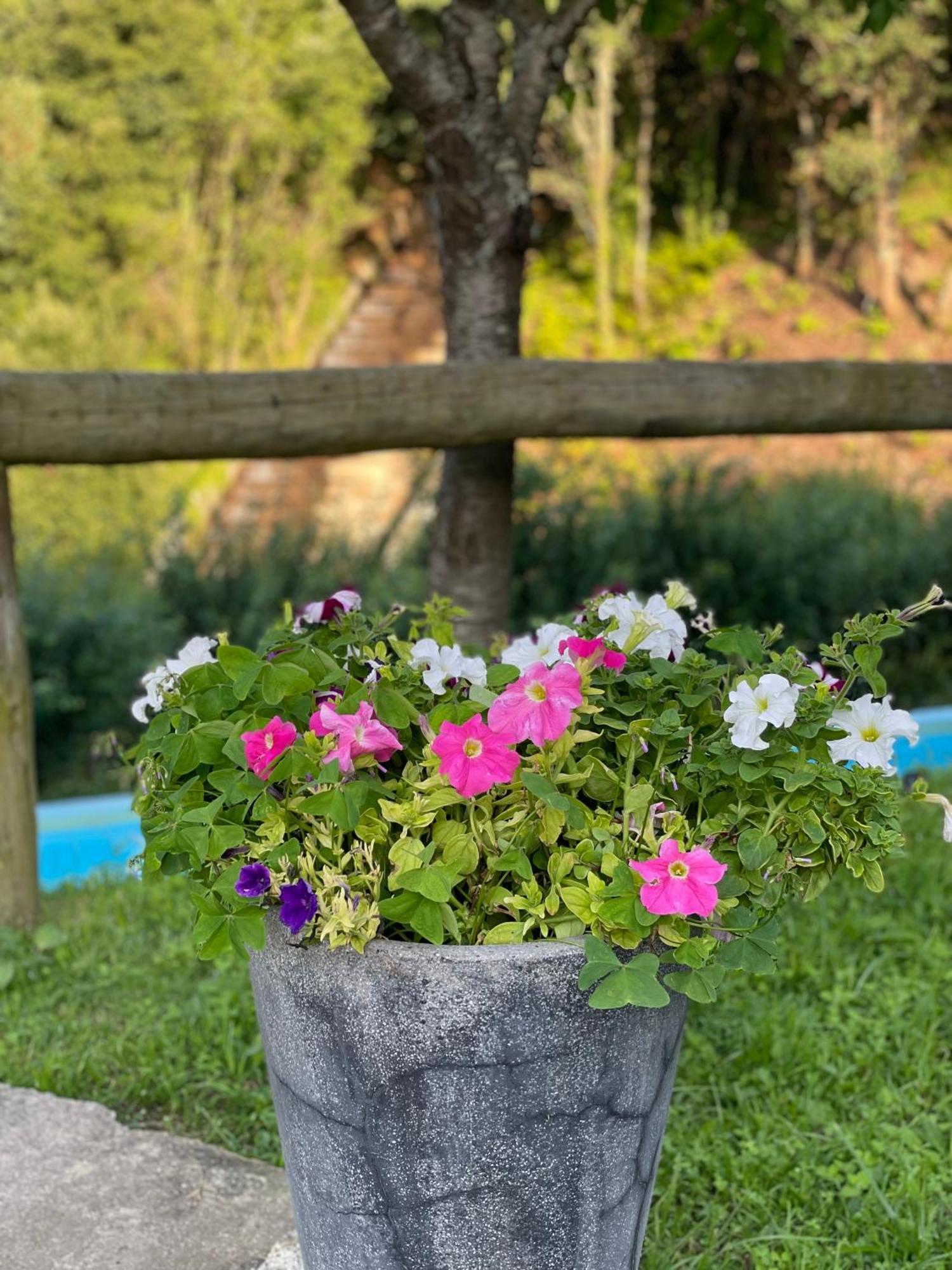 Quinta Das Ameixas - Country & Nature Arouca Zewnętrze zdjęcie