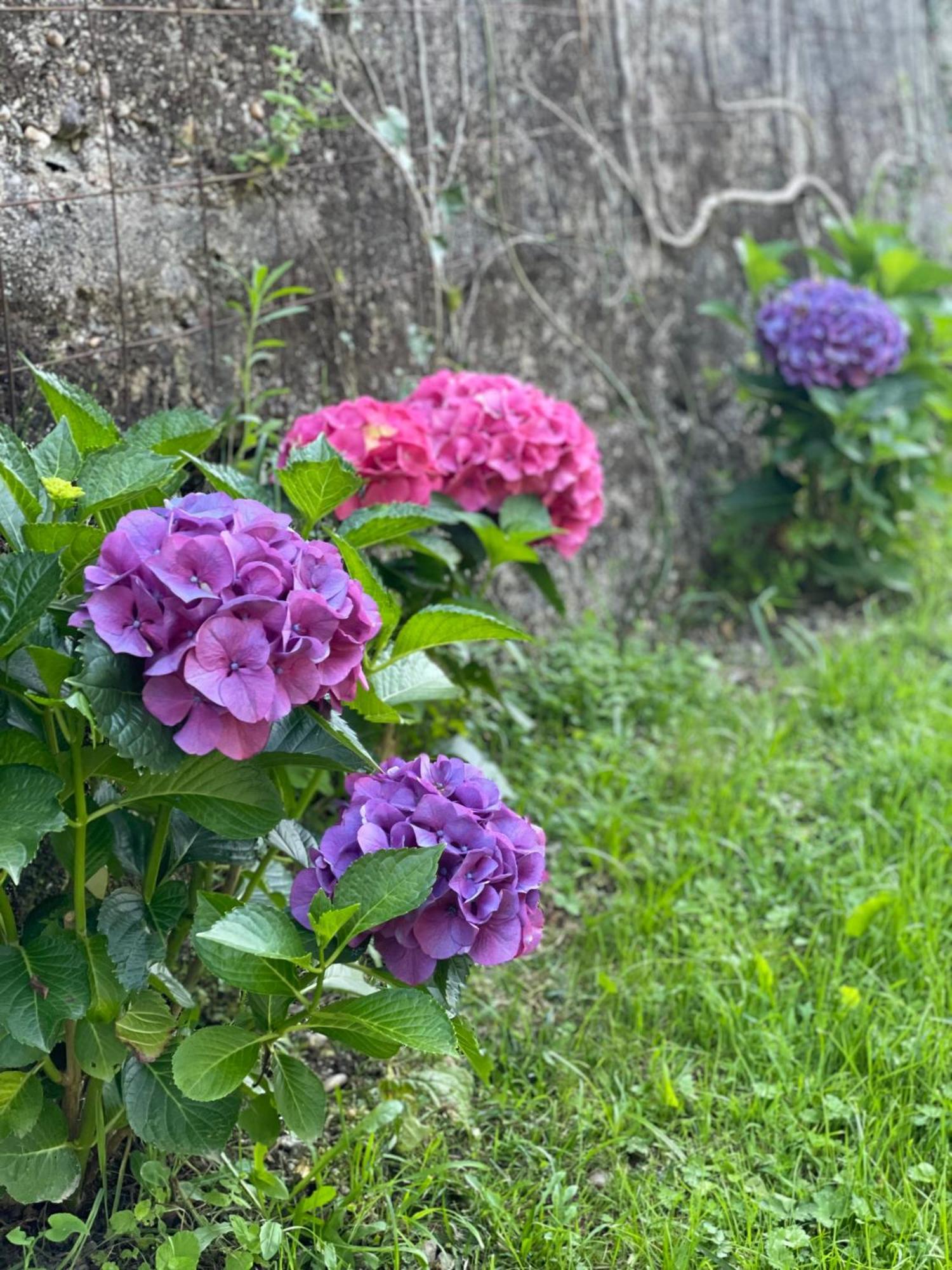 Quinta Das Ameixas - Country & Nature Arouca Zewnętrze zdjęcie