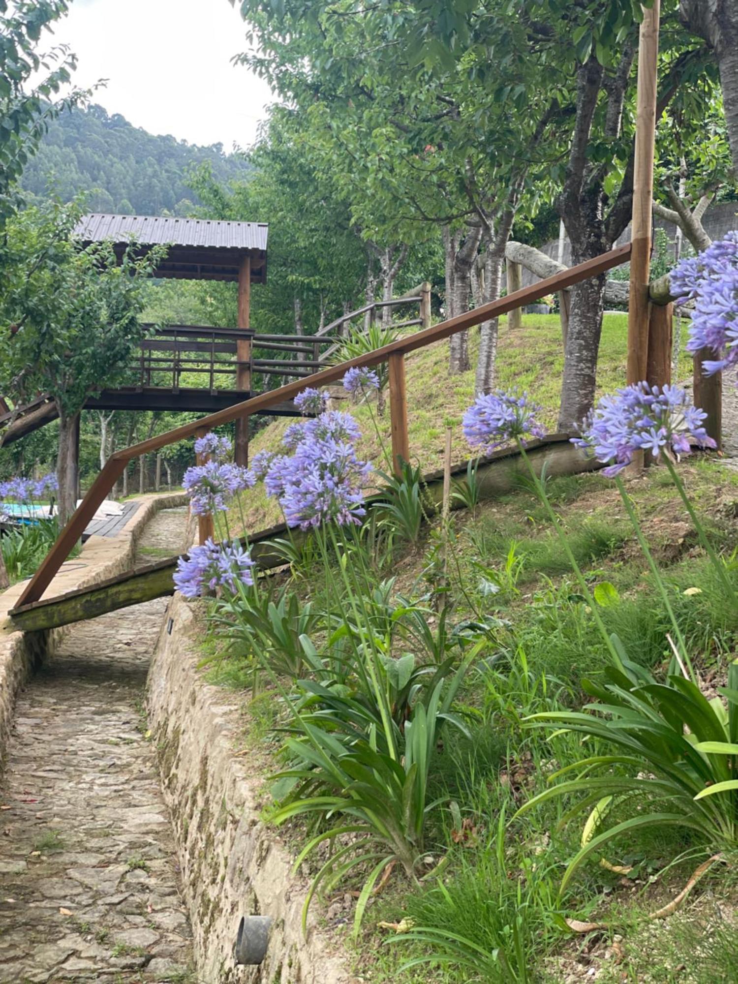 Quinta Das Ameixas - Country & Nature Arouca Zewnętrze zdjęcie